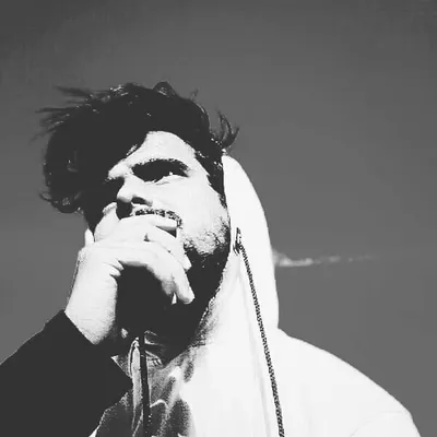 zayn malik profile