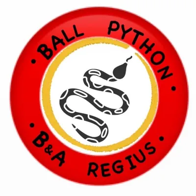 B&A Regius profile