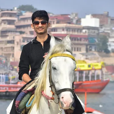 aneesh profile