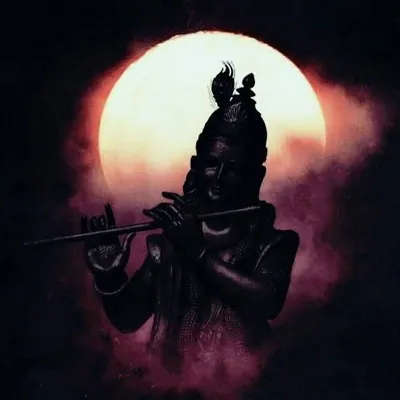___.Ankit.____ profile