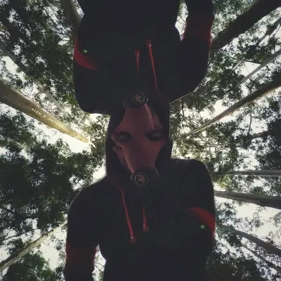 A R A V I N D B I N O D profile