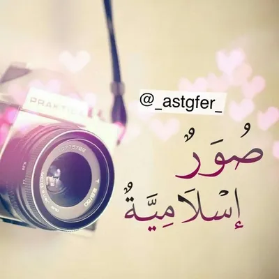 صور اسلامية 🌹 profile