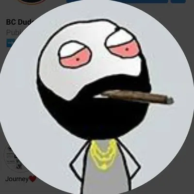 Be Like Dude🧔😂 profile