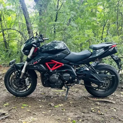 benelli profile