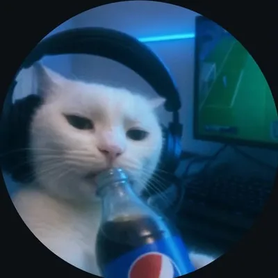 🤩BIJILI_MEMES🤩™️ 368K profile