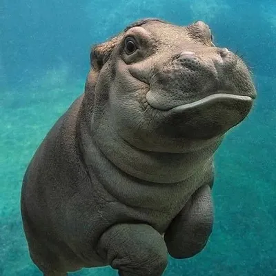 Bleue’𓃰 profile