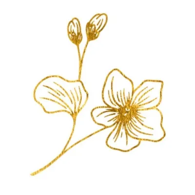 Florist & Hampers profile