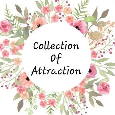 🌸Collection of Attraction🌸 profile