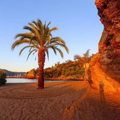 _cotedazur profile