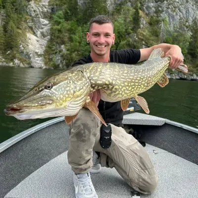 Daniel Hubner profile