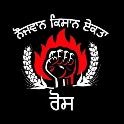 ਦਿਲ ਦੇ ਰਾਜੇ (pb 29 wala) profile