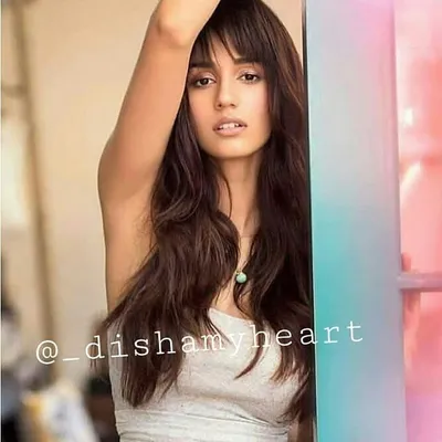 disha pataniš profile