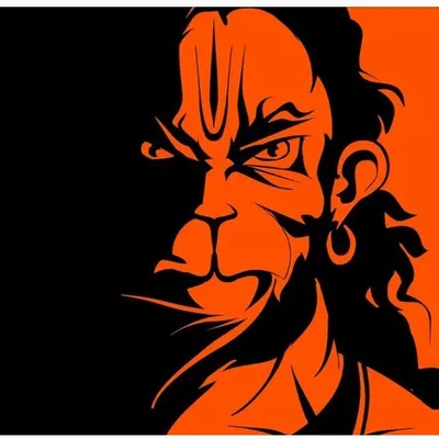 Dp Battle Dhamaka profile
