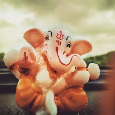 _drishya_ ๐ฎ๐ณ profile