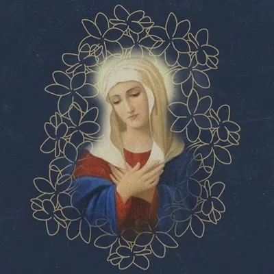 Escravos de Maria I AJPM ♡ profile