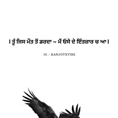 🖤 🦅امرت پال سنگھ🦅🖤 profile