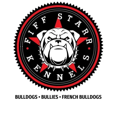 Fiffstarrkennels Fiffty profile
