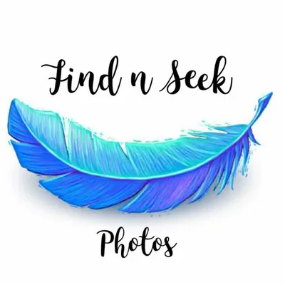 _find.n.seek_photos_ profile