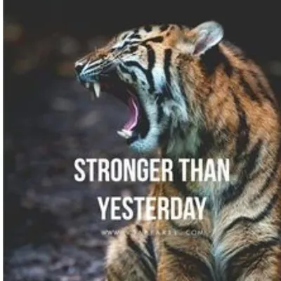 fitness_motivation profile