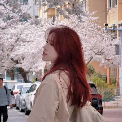 profile