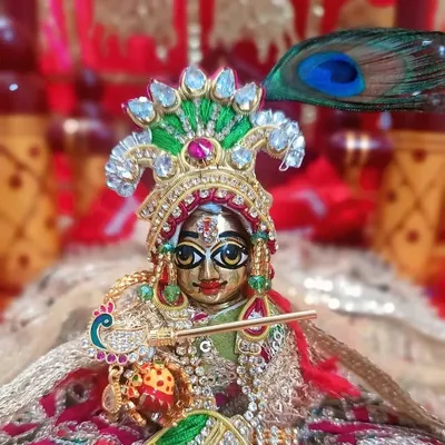 Nathkhath Kaniyan #ISKCON profile