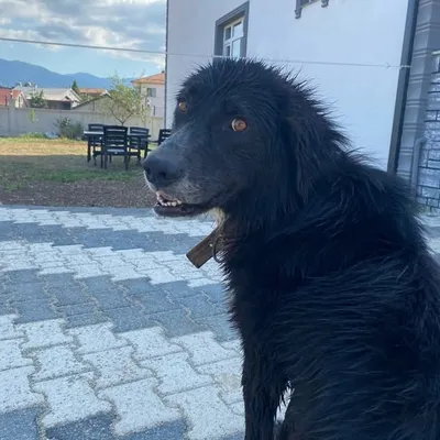 profile