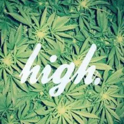 High On Weed🍃 profile