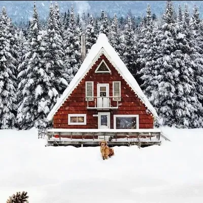 HOME CHRISTMAS ☃️ profile