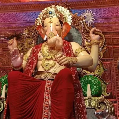 BRIJAL LIMBACHIA profile