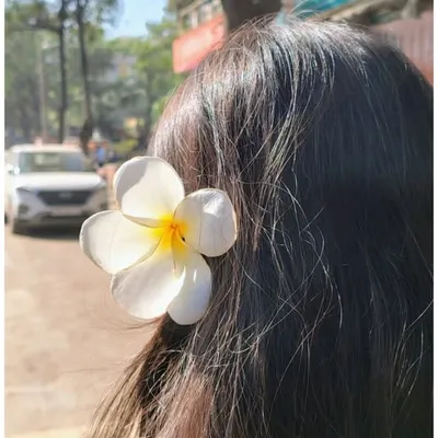 Rini katiyar profile