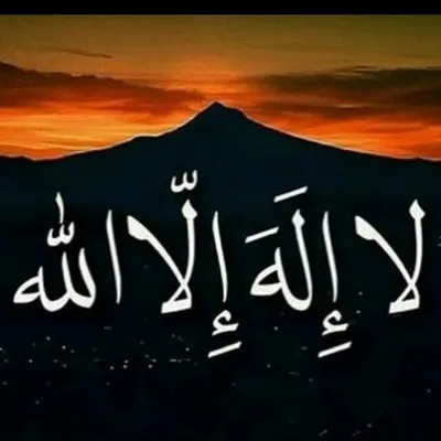 Allahu akbar❤️ profile
