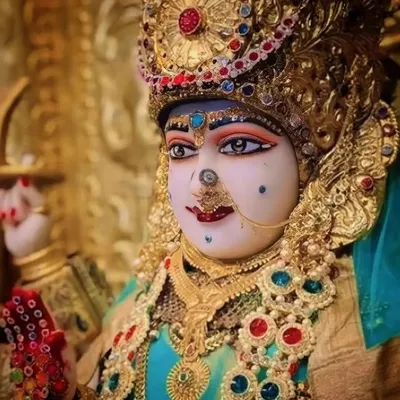સ્ટેટ ઓફ મેલડી🦁🥷🏻 profile