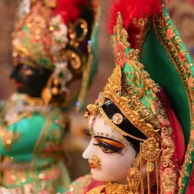 krishna profile