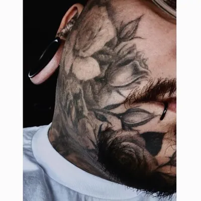profile