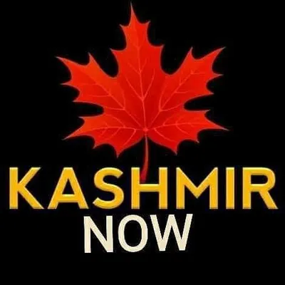 Kashmir Now ꪜ profile