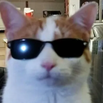 coquinha🍸 profile