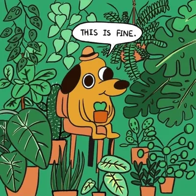 Let’s get planty profile