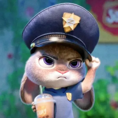 ๐ฎ๐๐๐ถ๐๐๐ถ ๐ฏ.๐ profile