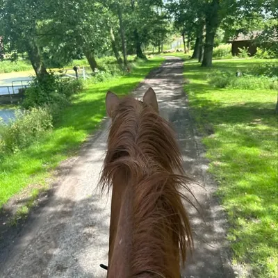 Luise profile