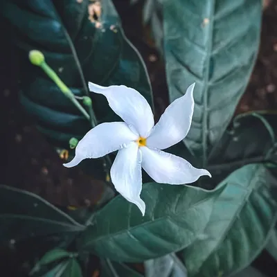 MOBILE PHOTOGRAPHY profile