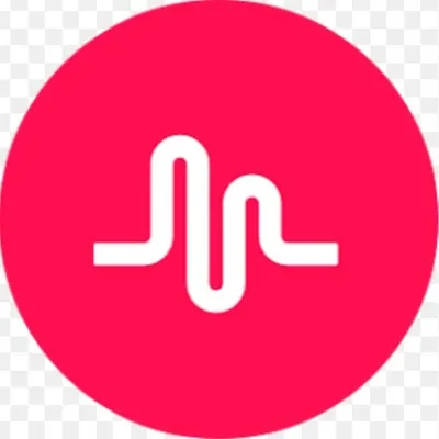 musically profile