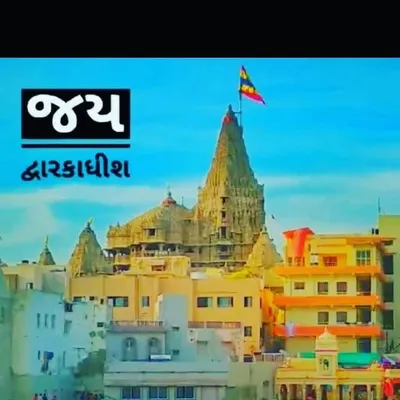 _kali_AayaR_ profile
