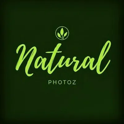 NaTuRal_ photoZ profile
