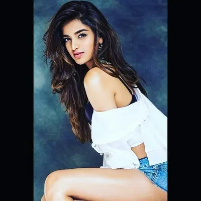 nidhhi agerwal profile
