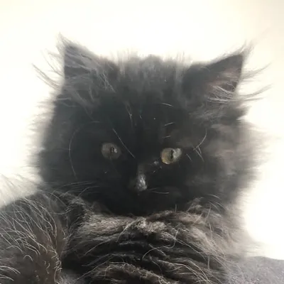 Norma aka Norms ๐พ profile
