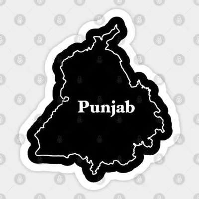 ☬ NRI PUNJABI profile