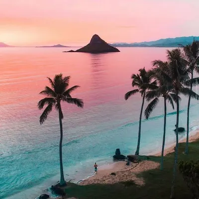 Paradise life🌴🍹🛩🗽 Instagram profile photo