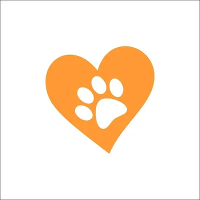 Pet Adopt profile