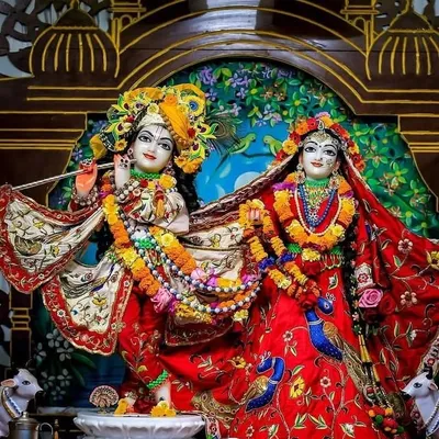 ๐๐น๐ป radhey krishna ๐๐น๐ผ profile