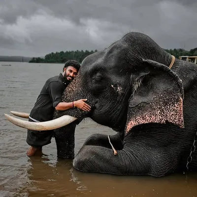 കോളങ്ങാട്ടുകരക്കാരൻ 😘😘😘 profile